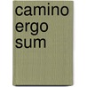 CAMINO ERGO SUM by Maarten Valkenburg