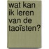 Wat kan ik leren van de taoïsten?
