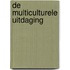 De multiculturele uitdaging
