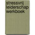 Stressvrij leiderschap werkboek