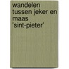 Wandelen tussen Jeker en Maas 'Sint-Pieter' door Onbekend