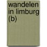 Wandelen in Limburg (B)