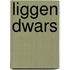 Liggen dwars