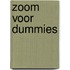 Zoom voor Dummies