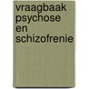 Vraagbaak psychose en schizofrenie by Lieuwe de Haan
