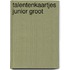 Talentenkaartjes junior groot