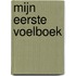 Mijn eerste voelboek