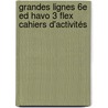 Grandes Lignes 6e ed havo 3 FLEX cahiers d'activités by Unknown