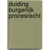 Duiding Burgerlijk Procesrecht door Paul Dauw