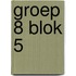 Groep 8 blok 5