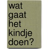 Wat gaat het kindje doen? door Laura Knowles