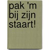 Pak 'm bij zijn staart! door Paul Biegel
