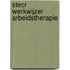 STECR werkwijzer Arbeidstherapie