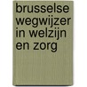 Brusselse Wegwijzer in Welzijn en Zorg door Stefaan Vermeulen