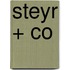 Steyr + Co