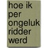 Hoe ik per ongeluk ridder werd