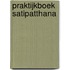 Praktijkboek satipatthana