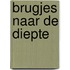 Brugjes naar de diepte