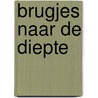 Brugjes naar de diepte by Elisabeth Dinnissen