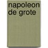 Napoleon de Grote