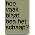 Hoe vaak blaat Bea het schaap?