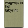 Wegwijs in het labyrint door LabyrintWerk. nl