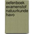 Oefenboek Examenstof Natuurkunde HAVO