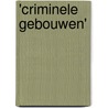 'Criminele gebouwen' door Peter Kruize