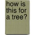 How is this for a tree?