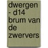 Dwergen - D14 Brum van de Zwervers