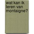 Wat kan ik leren van Montaigne?