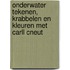 Onderwater tekenen, krabbelen en kleuren met Carll Cneut