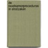 De raadkamerprocedures in strafzaken