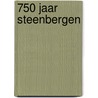 750 jaar Steenbergen door Willem Jongeneelen