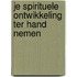 Je spirituele ontwikkeling ter hand nemen