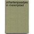 Olifantenpaadjes in Meierijstad