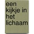 Een kijkje in het lichaam
