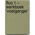 Fluo 1 – werkboek ‘voetganger’