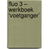 Fluo 3 – werkboek ‘voetganger’