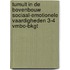 Tumult in de bovenbouw Sociaal-emotionele vaardigheden 3-4 vmbo-bkgt