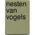Nesten van vogels