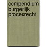 Compendium Burgerlijk procesrecht door Onbekend