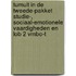 Tumult in de tweede-pakket Studie-, sociaal-emotionele vaardigheden en LOB 2 vmbo-t