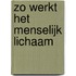 Zo werkt het menselijk lichaam
