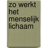 Zo werkt het menselijk lichaam door Emmanelle Lepetit