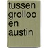 Tussen Grolloo en Austin