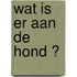 Wat is er aan de hond ?