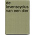 De levenscyclus van een dier