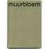 Muurbloem