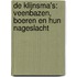 De Klijnsma's: veenbazen, boeren en hun nageslacht